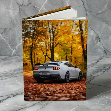 Ford Mustang White Car Autumn Forest