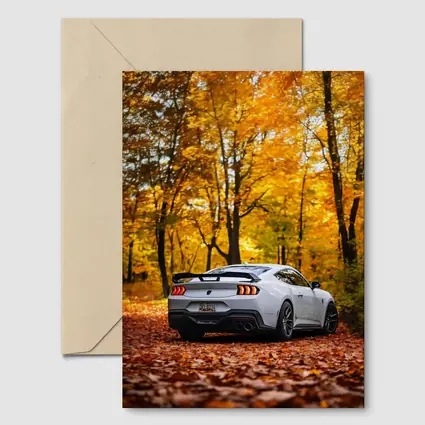 Ford Mustang White Car Autumn Forest