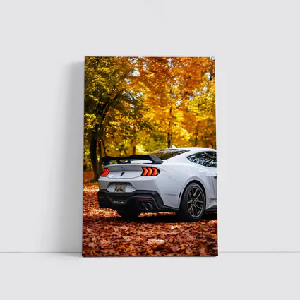 Ford Mustang White Car Autumn Forest