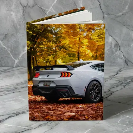 Ford Mustang White Car Autumn Forest
