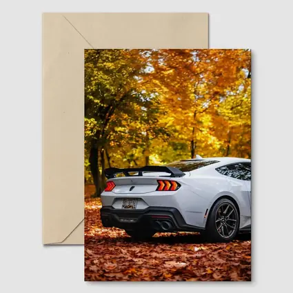 Ford Mustang White Car Autumn Forest