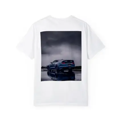 Ford Mustang Blue Stormy Sky Reflection