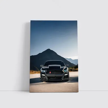 Black Ford Mustang Shelby Front Mountain View