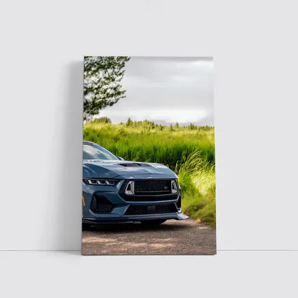Ford Mustang GT Blue Front Green Field