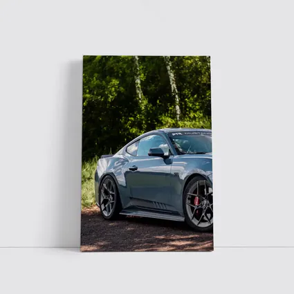 Ford Mustang Dark Horse Forest Background