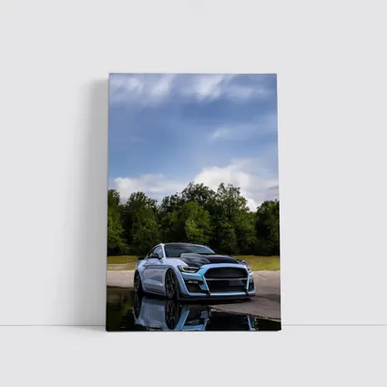 Ford Mustang GT500 Blue Sky Reflection