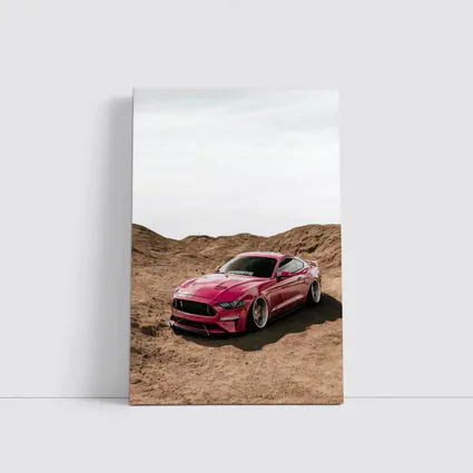 Ford Mustang Pink Desert Sandy Landscape