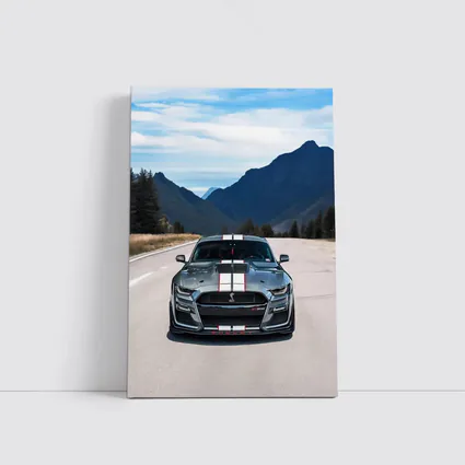 Ford Mustang Shelby GT500 Mountain Road
