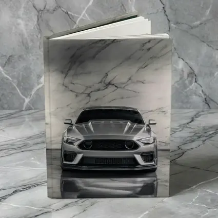 Ford Mustang Silver Marble Studio Front View