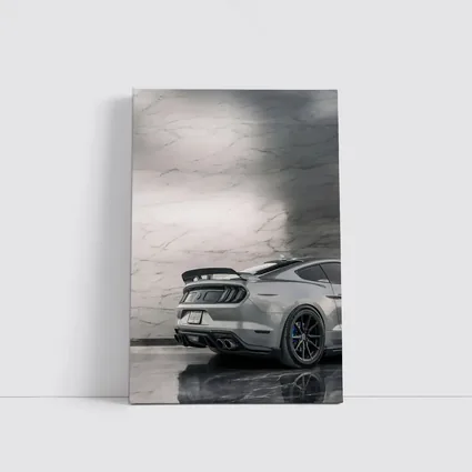 Ford Mustang Silver Rear Marble Background