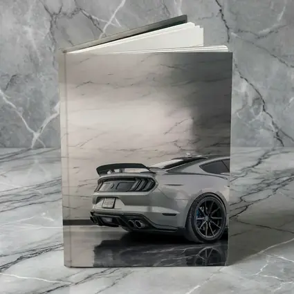Ford Mustang Silver Rear Marble Background