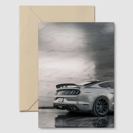 Ford Mustang Silver Rear Marble Background