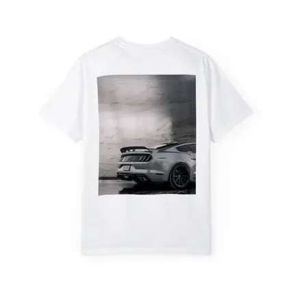 Ford Mustang Silver Rear Marble Background
