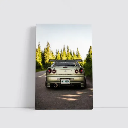 Nissan Skyline GTR R34 Forest Road Rear