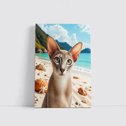 Oriental Shorthair Cat on Tropical Beach
