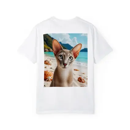 Oriental Shorthair Cat on Tropical Beach