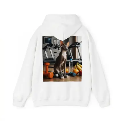 Oriental Shorthair Cat Gym Fitness Setting