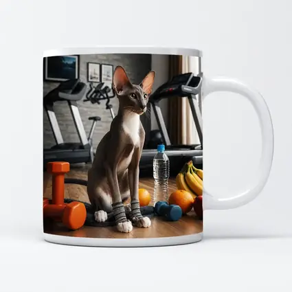 Oriental Shorthair Cat Gym Fitness Setting