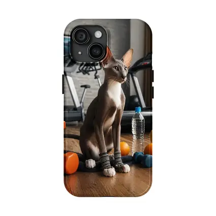 Oriental Shorthair Cat Gym Fitness Setting