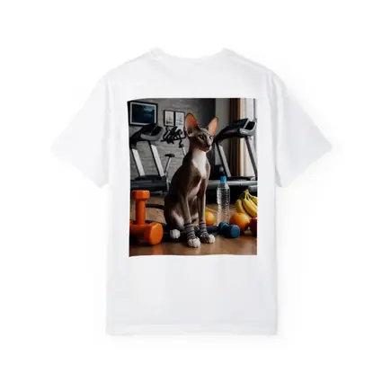 Oriental Shorthair Cat Gym Fitness Setting