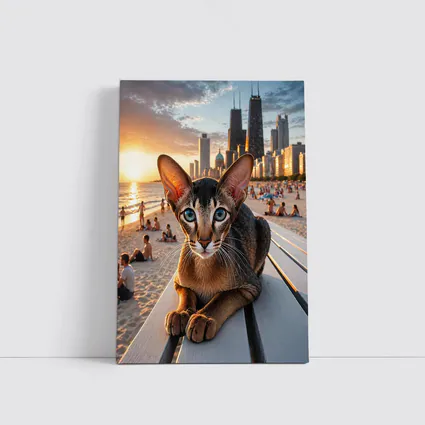 Abyssinian Cat Chicago Skyline Beach Sunset