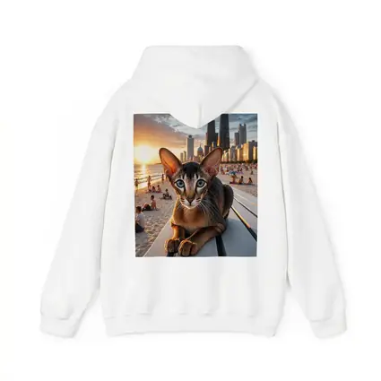 Abyssinian Cat Chicago Skyline Beach Sunset