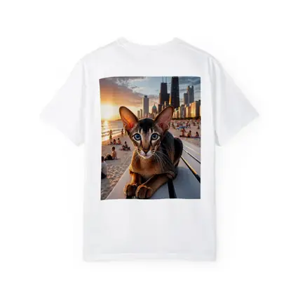 Abyssinian Cat Chicago Skyline Beach Sunset