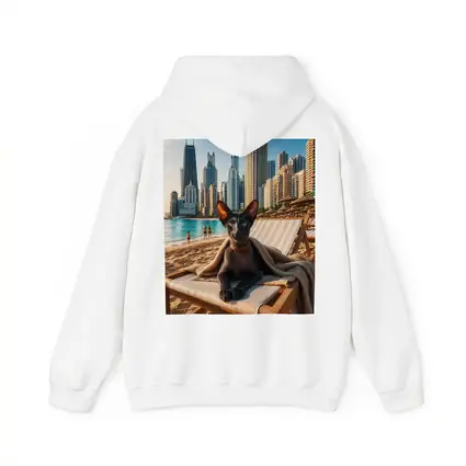 Oriental Shorthair Cat Relaxing Dubai Beach