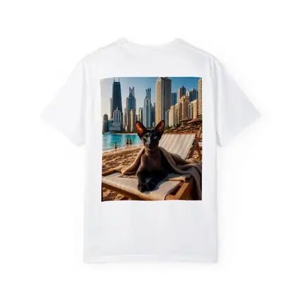 Oriental Shorthair Cat Relaxing Dubai Beach