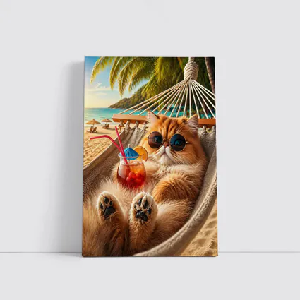 Persian Cat Relaxing Beach Hammock Cocktail
