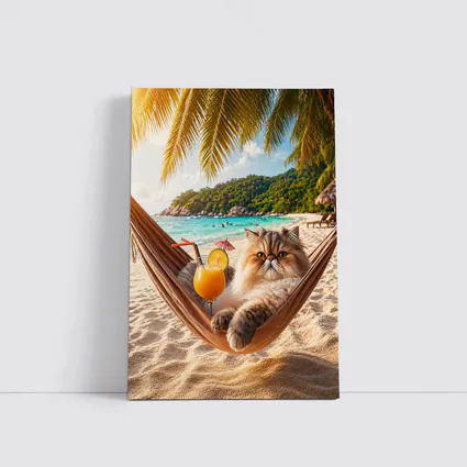 Persian Cat Relaxing Beach Hammock Tropical Cocktail