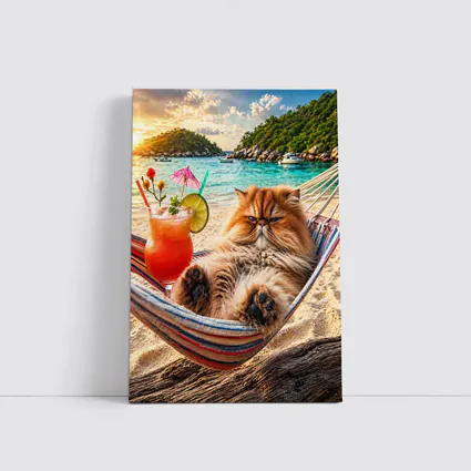 Persian Cat Relaxing Beach Hammock Tropical Cocktail