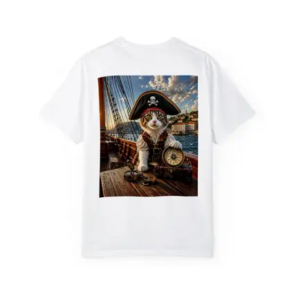 Pirate Cat With Compass On Ship