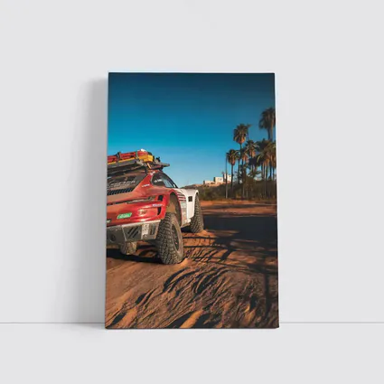Porsche 911 Rally Car Desert Palm Trees