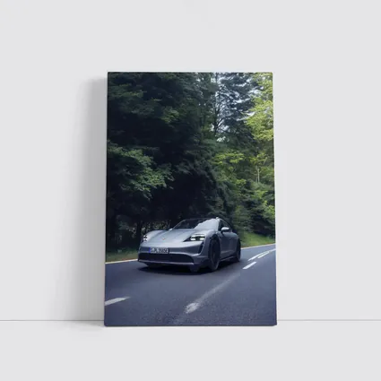 Porsche Taycan Cross Turismo Forest Road Drive