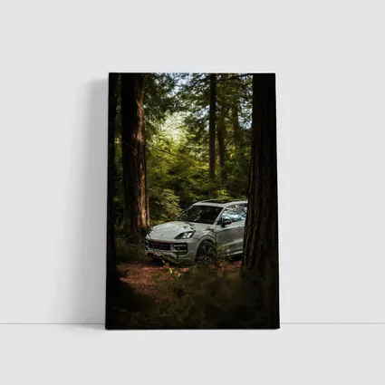 Porsche Cayenne S Silver Forest Trees