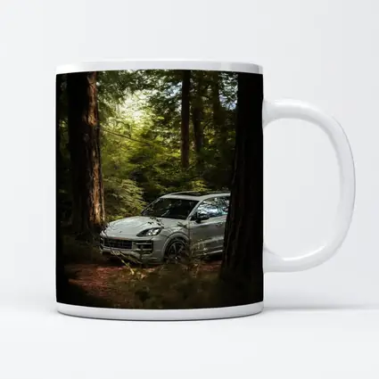 Porsche Cayenne S Silver Forest Trees