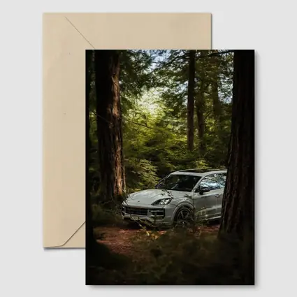Porsche Cayenne S Silver Forest Trees
