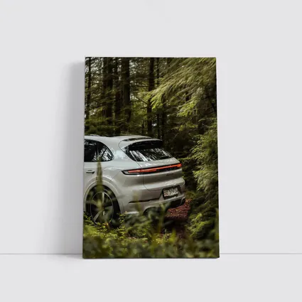 Porsche Cayenne Coupe Silver Forest Setting