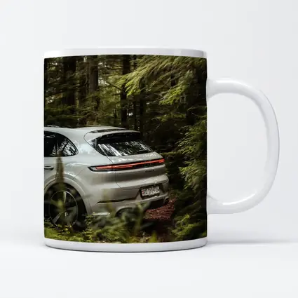 Porsche Cayenne Coupe Silver Forest Setting