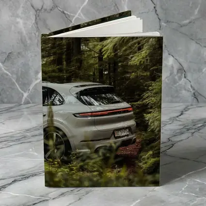 Porsche Cayenne Coupe Silver Forest Setting