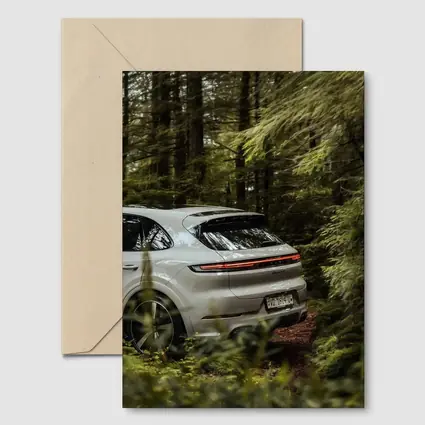 Porsche Cayenne Coupe Silver Forest Setting