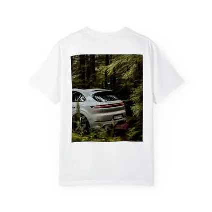 Porsche Cayenne Coupe Silver Forest Setting