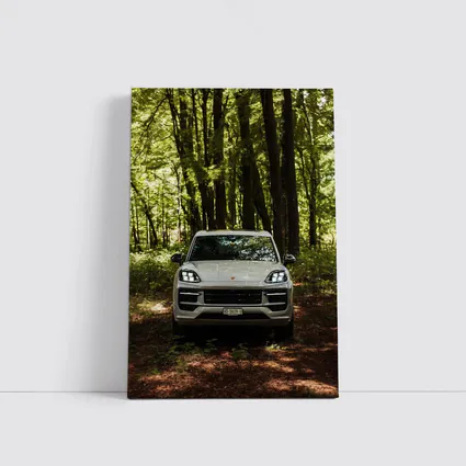 Porsche Cayenne Front View Forest Setting