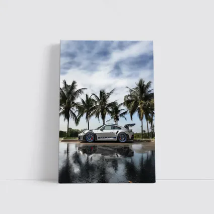 Porsche 911 GT3 RS Silver Palm Trees