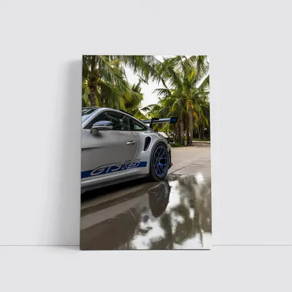 Porsche GT3 RS Gray Under Palm Trees