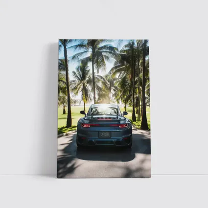 Porsche 911 Rear View Palm Trees