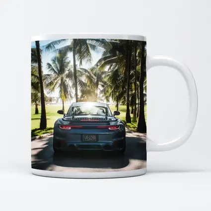 Porsche 911 Rear View Palm Trees