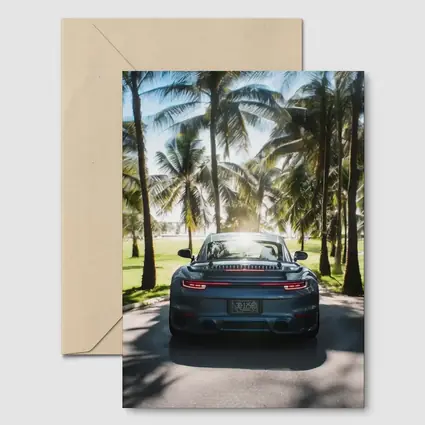 Porsche 911 Rear View Palm Trees