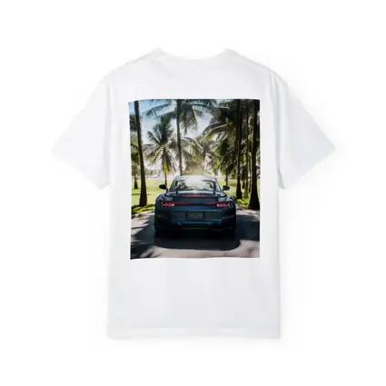 Porsche 911 Rear View Palm Trees